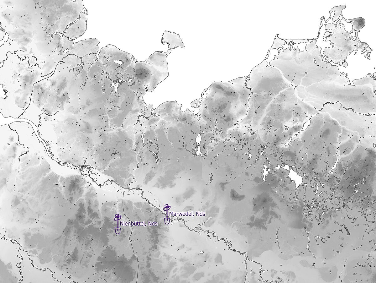 Feldforschungen der Ur- und Frühgeschichte